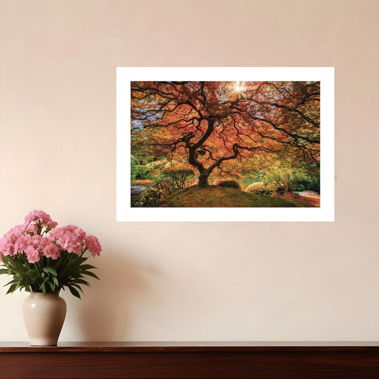 First Colors of Fall I 1 White Framed Print Wall Art - Homeroots