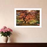 First Colors of Fall I 1 White Framed Print Wall Art - Homeroots