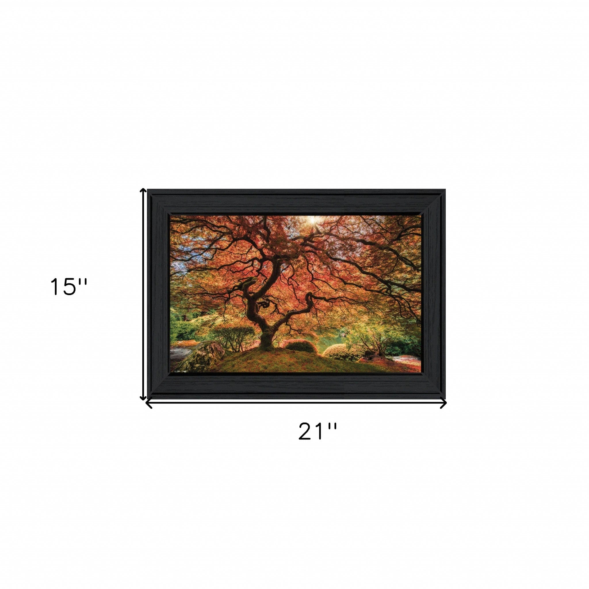 First Colors of Fall I 2 Black Framed Print Wall Art - Homeroots