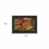 First Colors of Fall I 2 Black Framed Print Wall Art - Homeroots - Flyclothing LLC