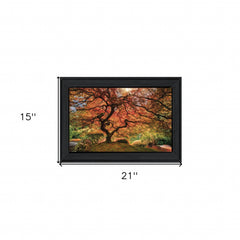 First Colors of Fall I 2 Black Framed Print Wall Art - Homeroots