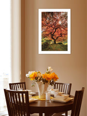 First Colors of Fall II 1 White Framed Print Wall Art - Homeroots