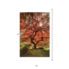 First Colors of Fall II 1 White Framed Print Wall Art - Homeroots