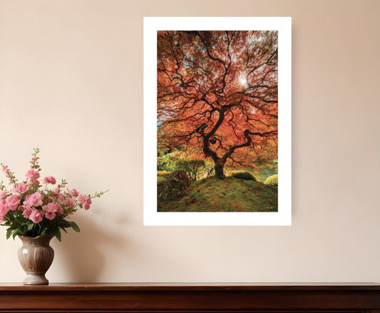 First Colors of Fall II 1 White Framed Print Wall Art - Homeroots