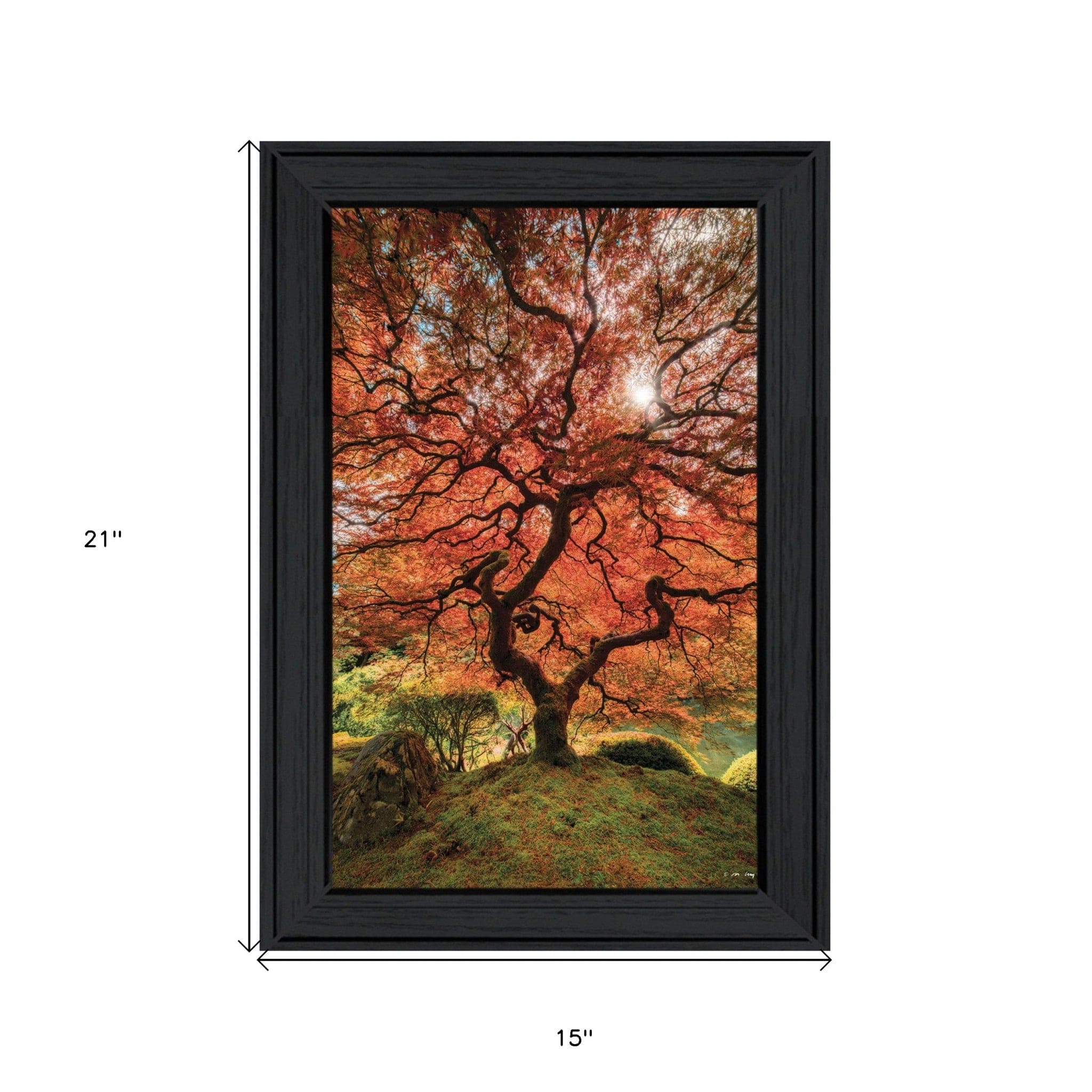 First Colors of Fall II 2 Black Framed Print Wall Art - Homeroots