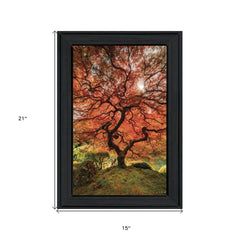 First Colors of Fall II 2 Black Framed Print Wall Art - Homeroots
