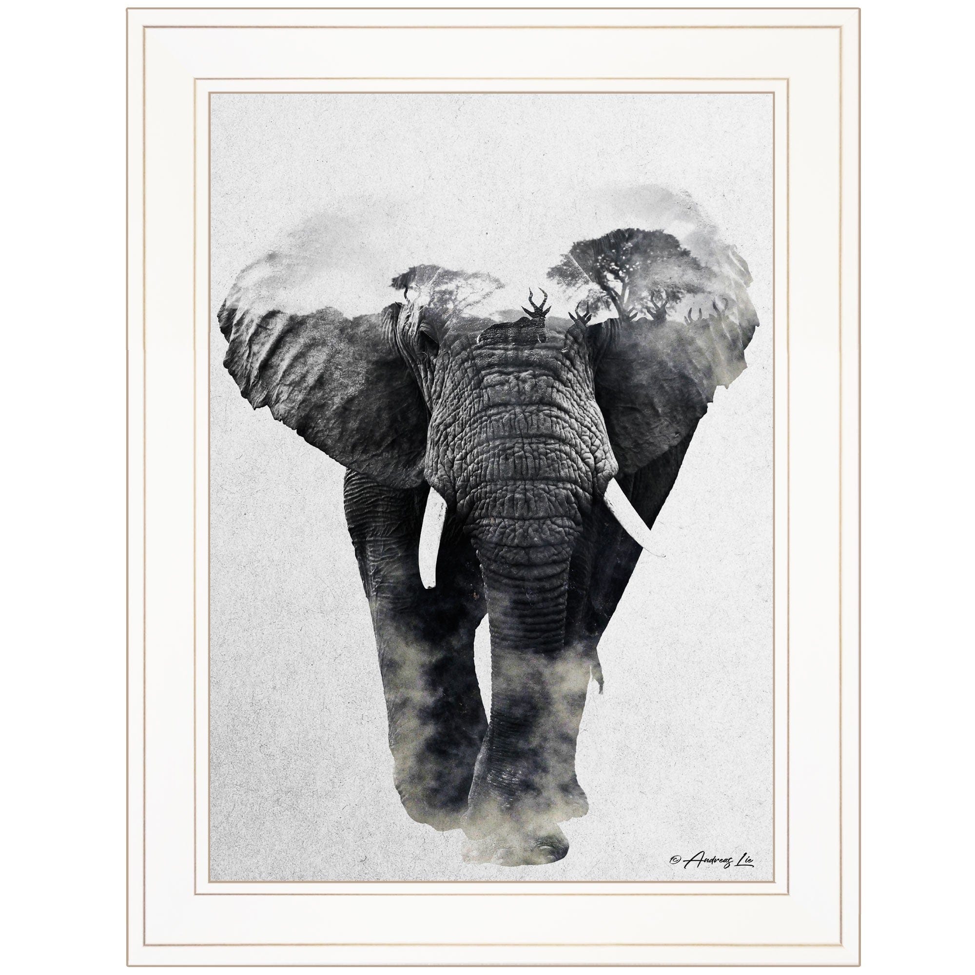 Elephant Walk 1 White Framed Print Wall Art - Homeroots