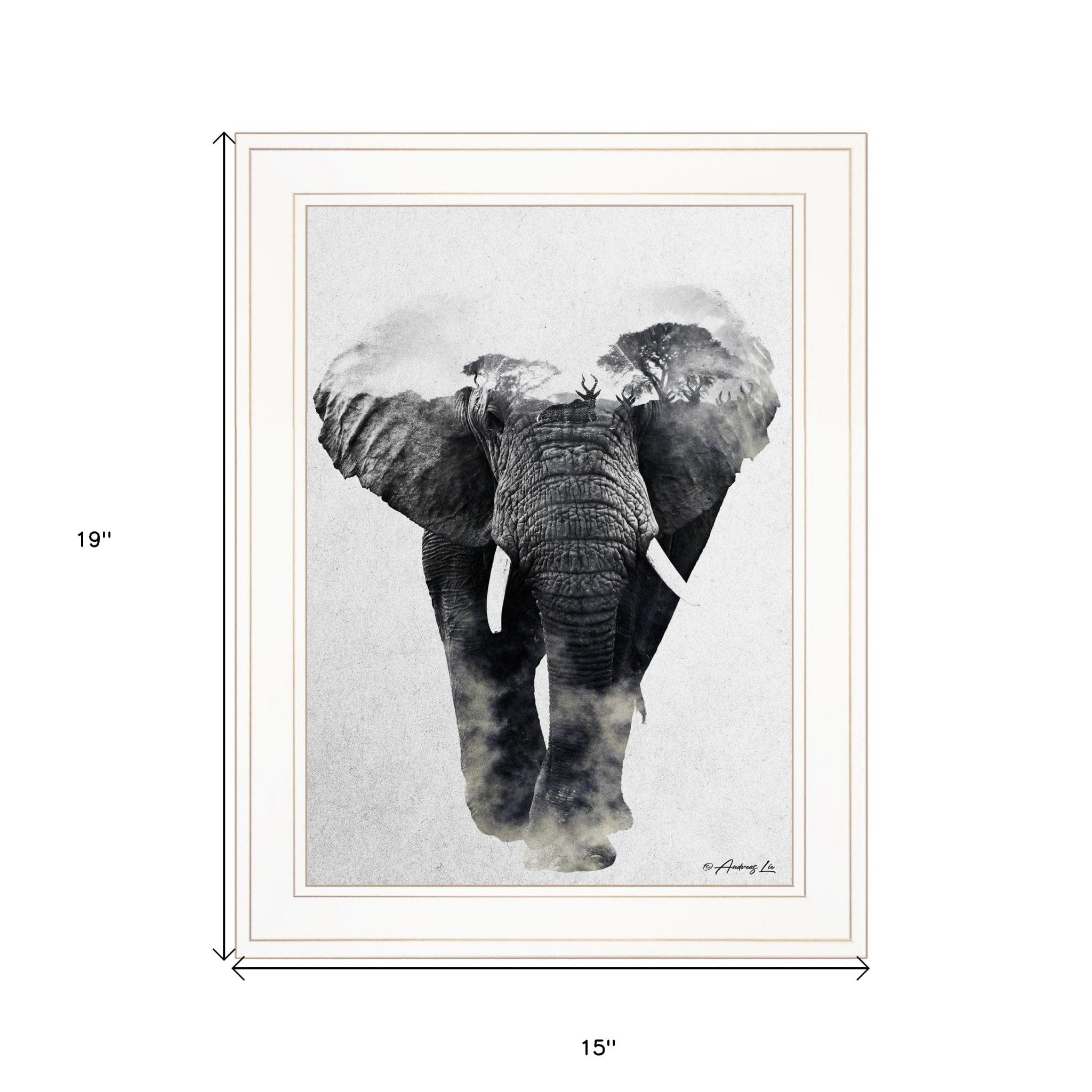 Elephant Walk 1 White Framed Print Wall Art - Homeroots