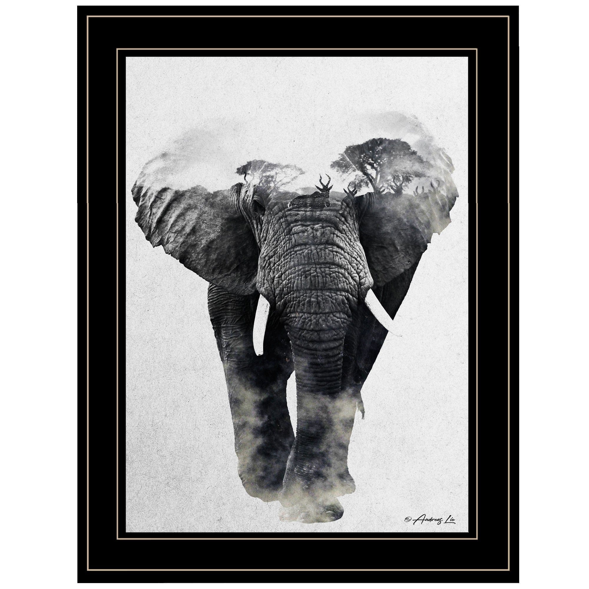 Elephant Walk 2 Black Framed Print Wall Art - Homeroots