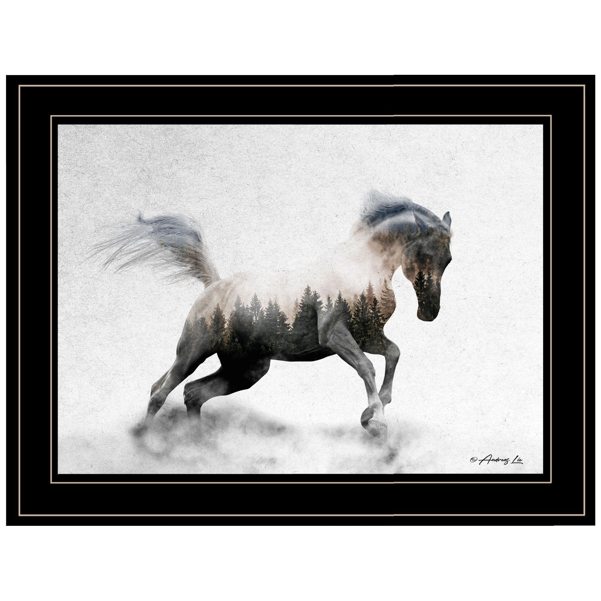 Running White Stallion 2 Black Framed Print Wall Art - Homeroots