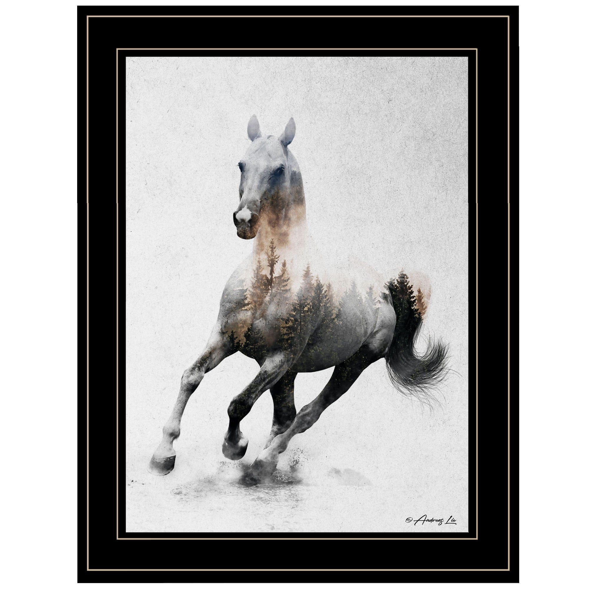Galloping Stallion 2 Black Framed Print Wall Art - Homeroots