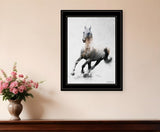 Galloping Stallion 2 Black Framed Print Wall Art - Homeroots