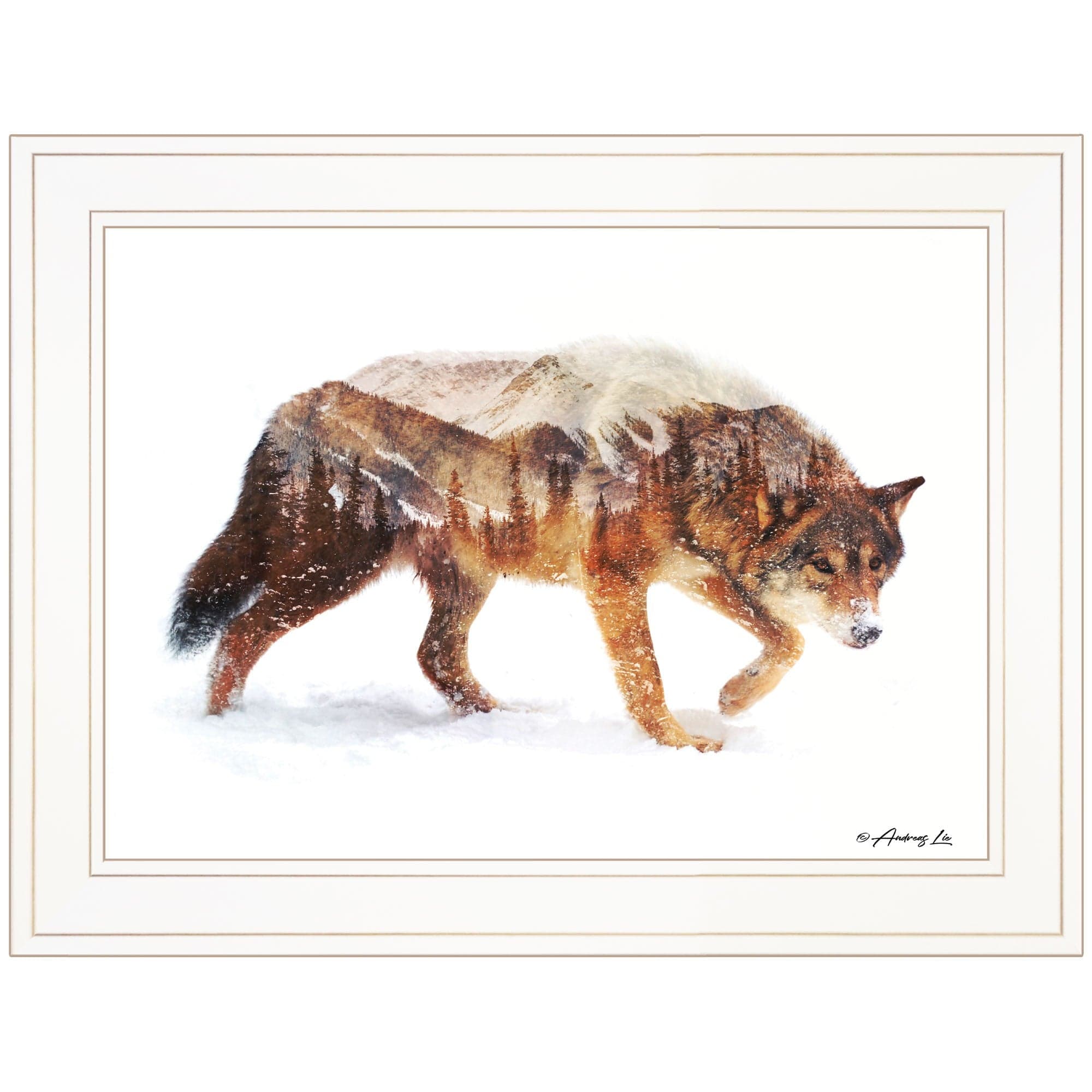 Arctic Wolf 1 White Framed Print Wall Art - Homeroots