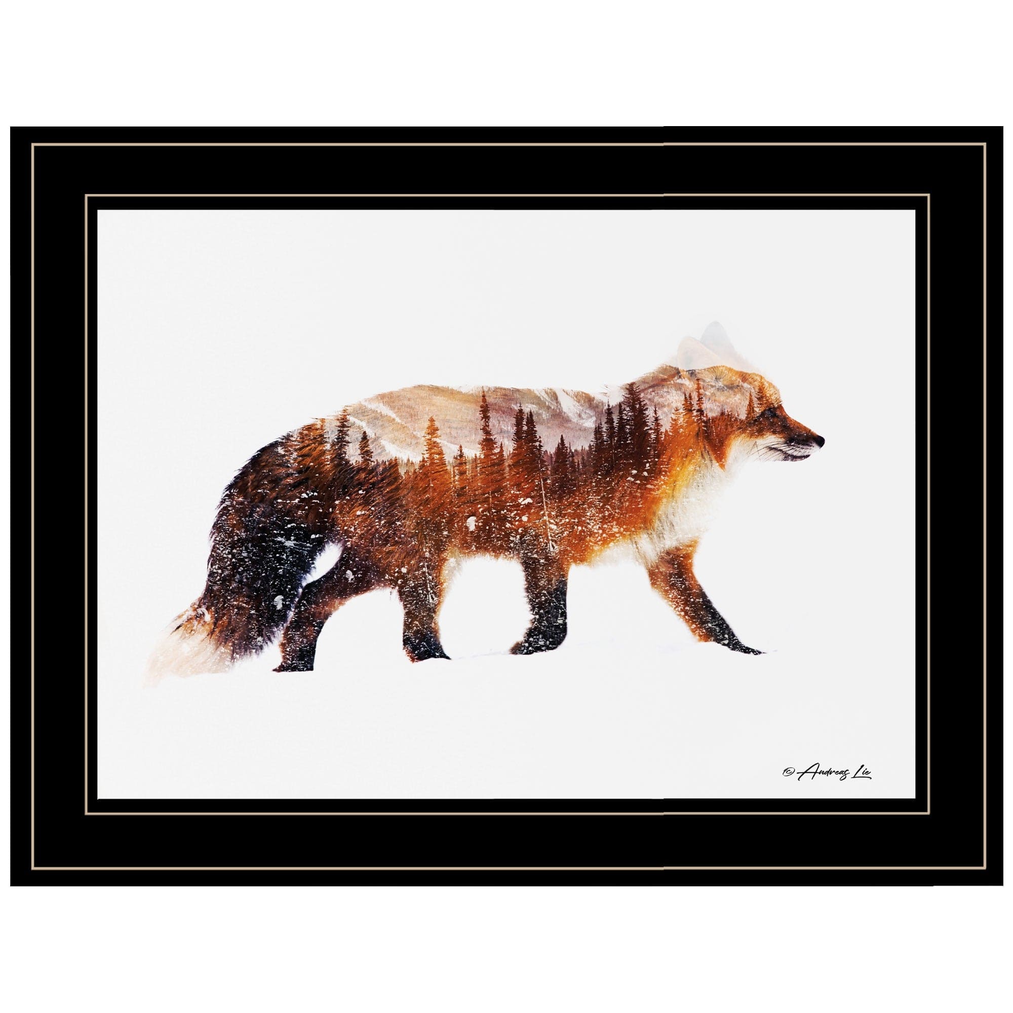 Arctic Red Fox 2 Black Framed Print Wall Art - Homeroots