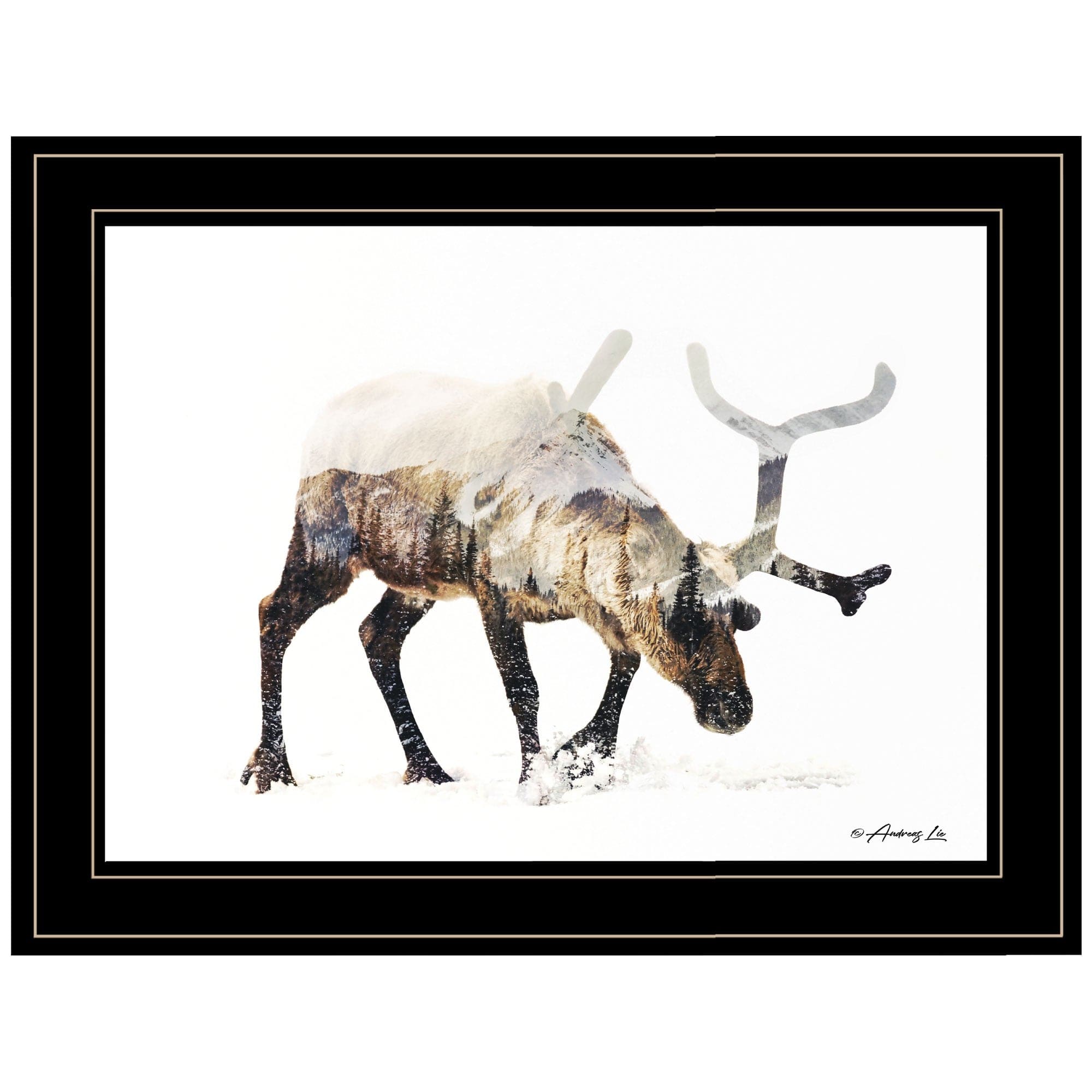 Arctic Reindeer 2 Black Framed Print Wall Art - Homeroots
