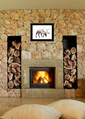 Arctic Reindeer 2 Black Framed Print Wall Art - Homeroots