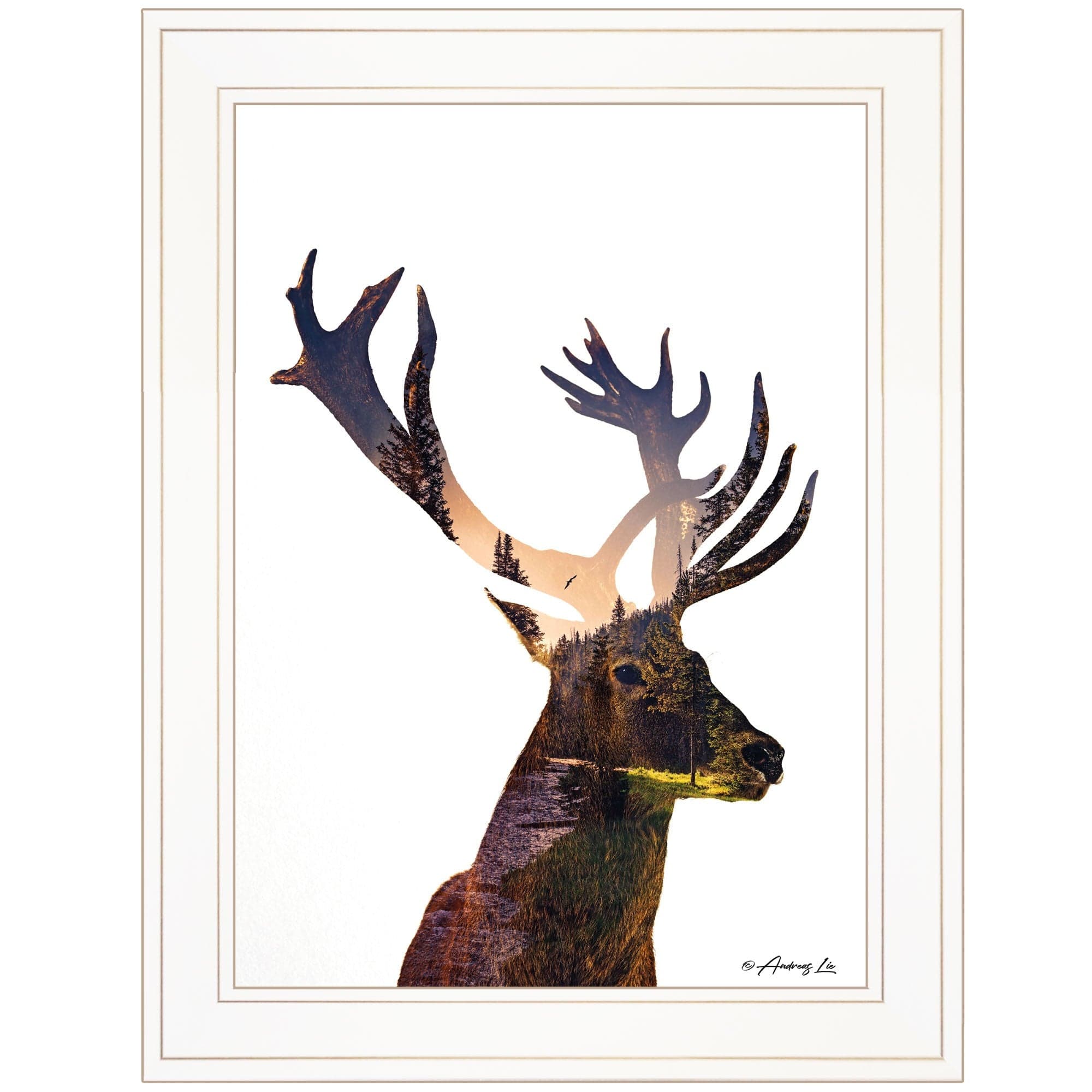 Deer in the Forest 1 White Framed Print Wall Art - Homeroots