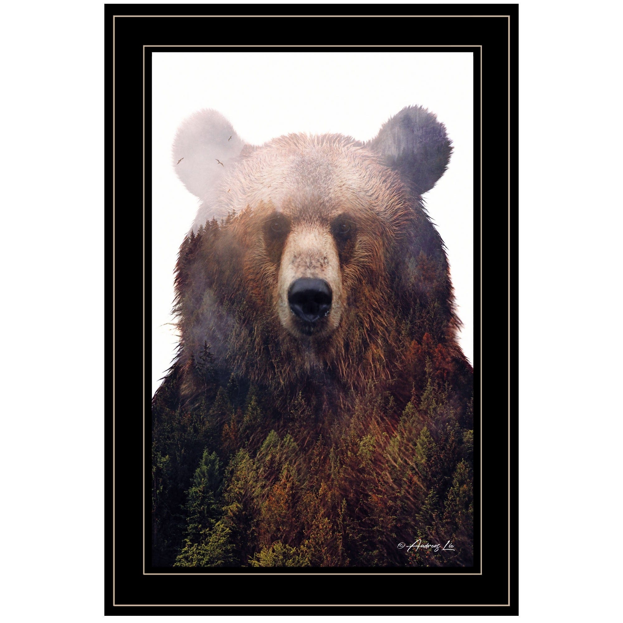 King of the Forest 4 Black Framed Print Wall Art - Homeroots