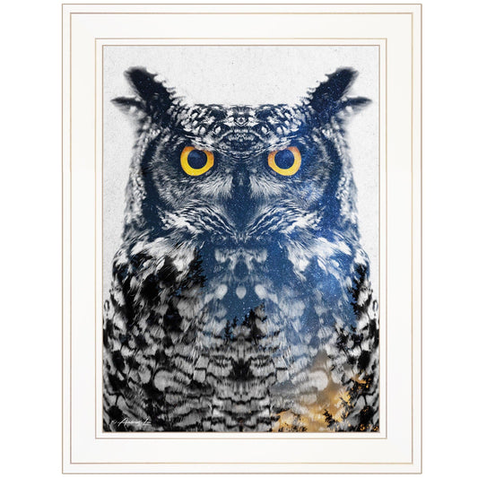 Night Owl 2 White Framed Print Wall Art - Homeroots