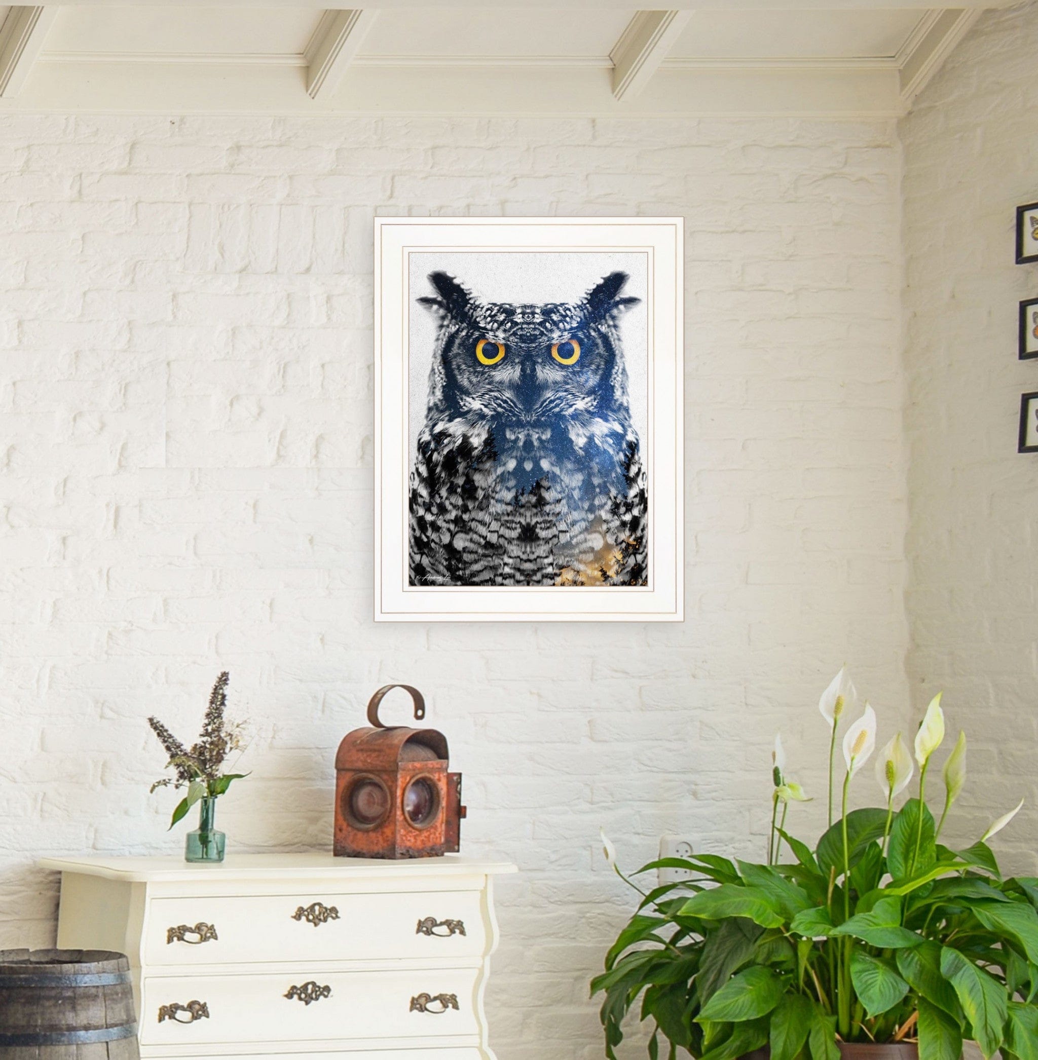 Night Owl 2 White Framed Print Wall Art - Homeroots