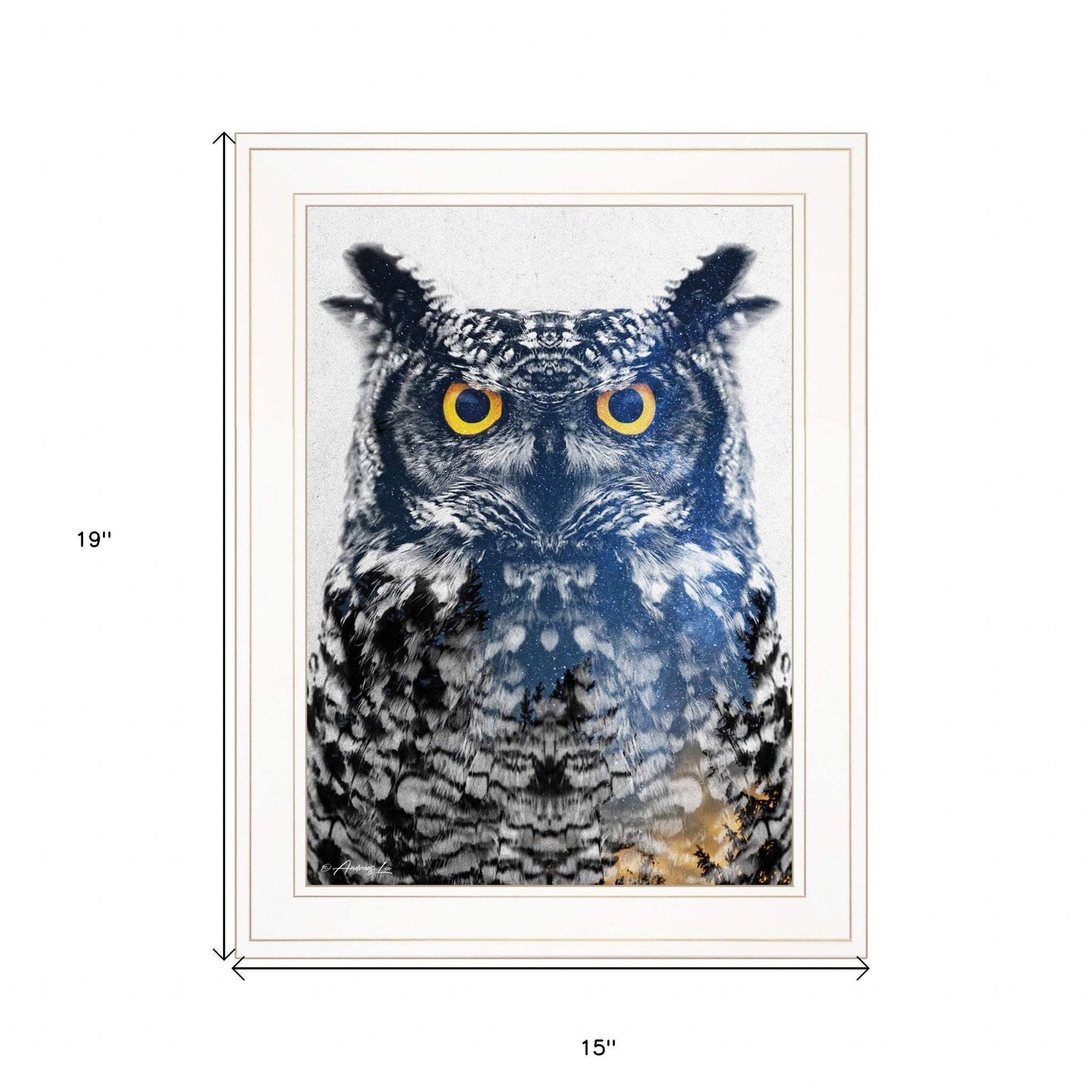Night Owl 2 White Framed Print Wall Art - Homeroots - Flyclothing LLC