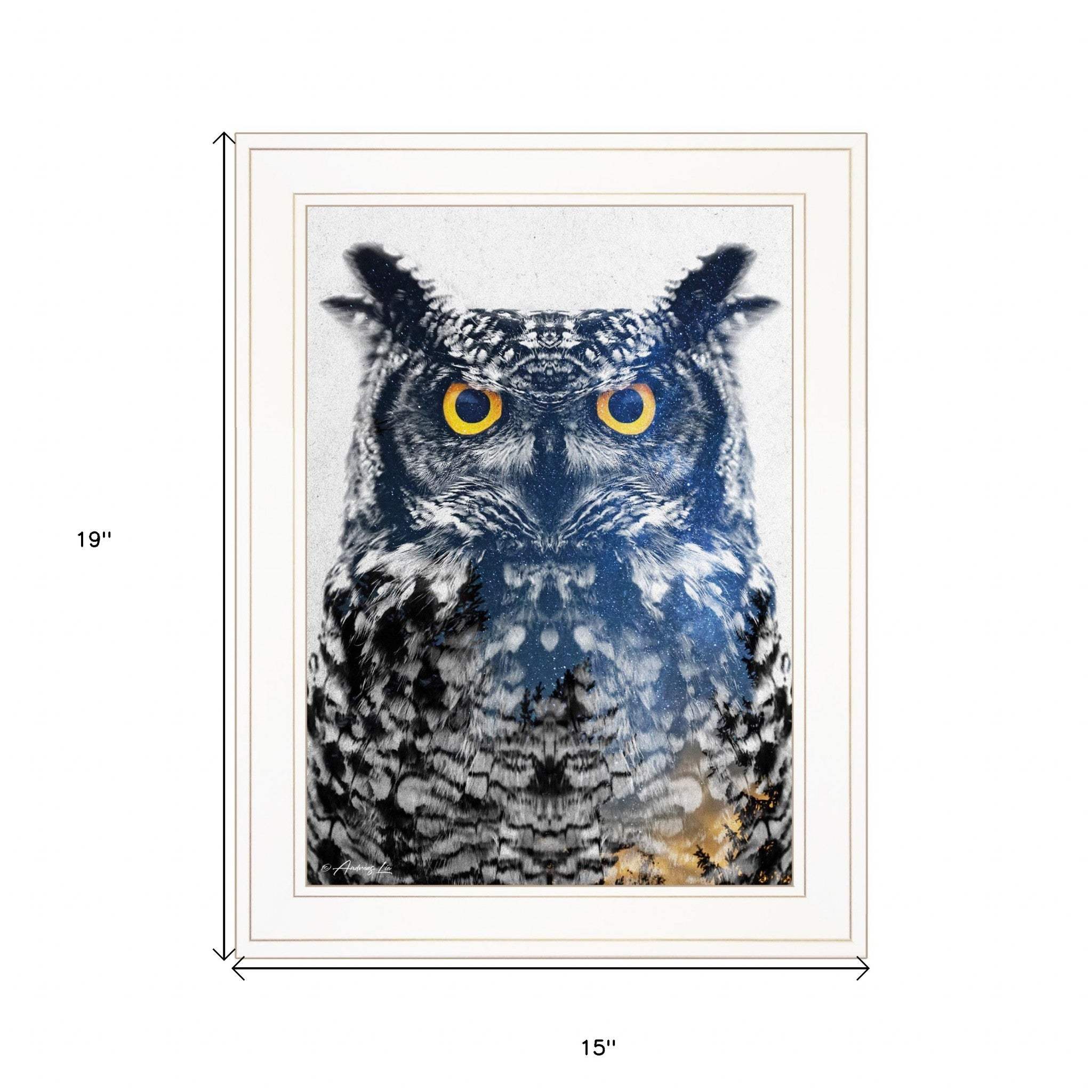 Night Owl 2 White Framed Print Wall Art - Homeroots - Flyclothing LLC
