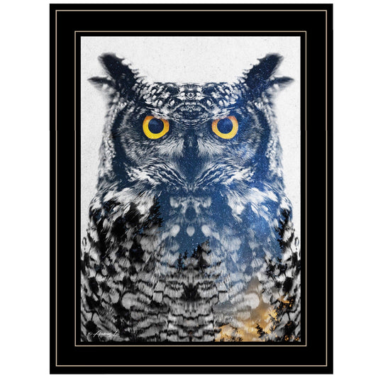 Night Owl 3 Black Framed Print Wall Art - Homeroots