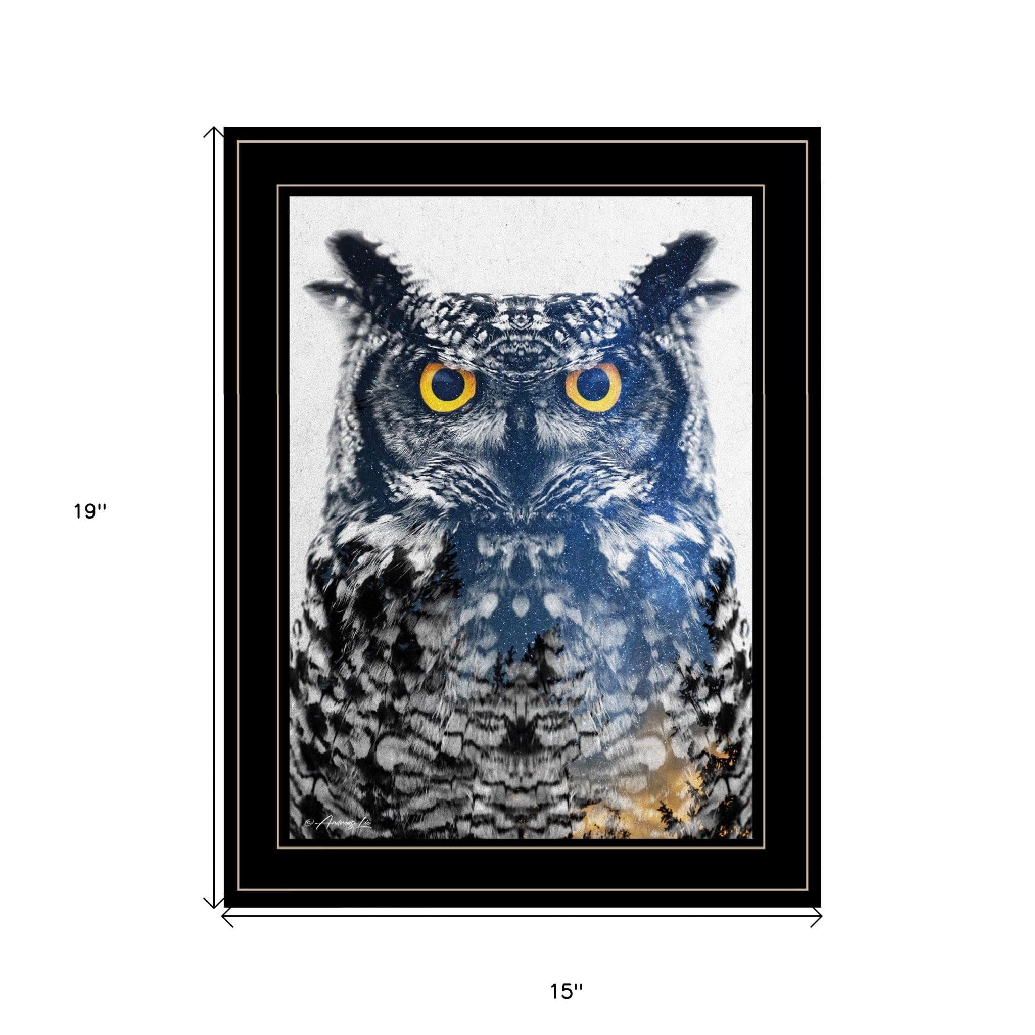 Night Owl 3 Black Framed Print Wall Art - Homeroots