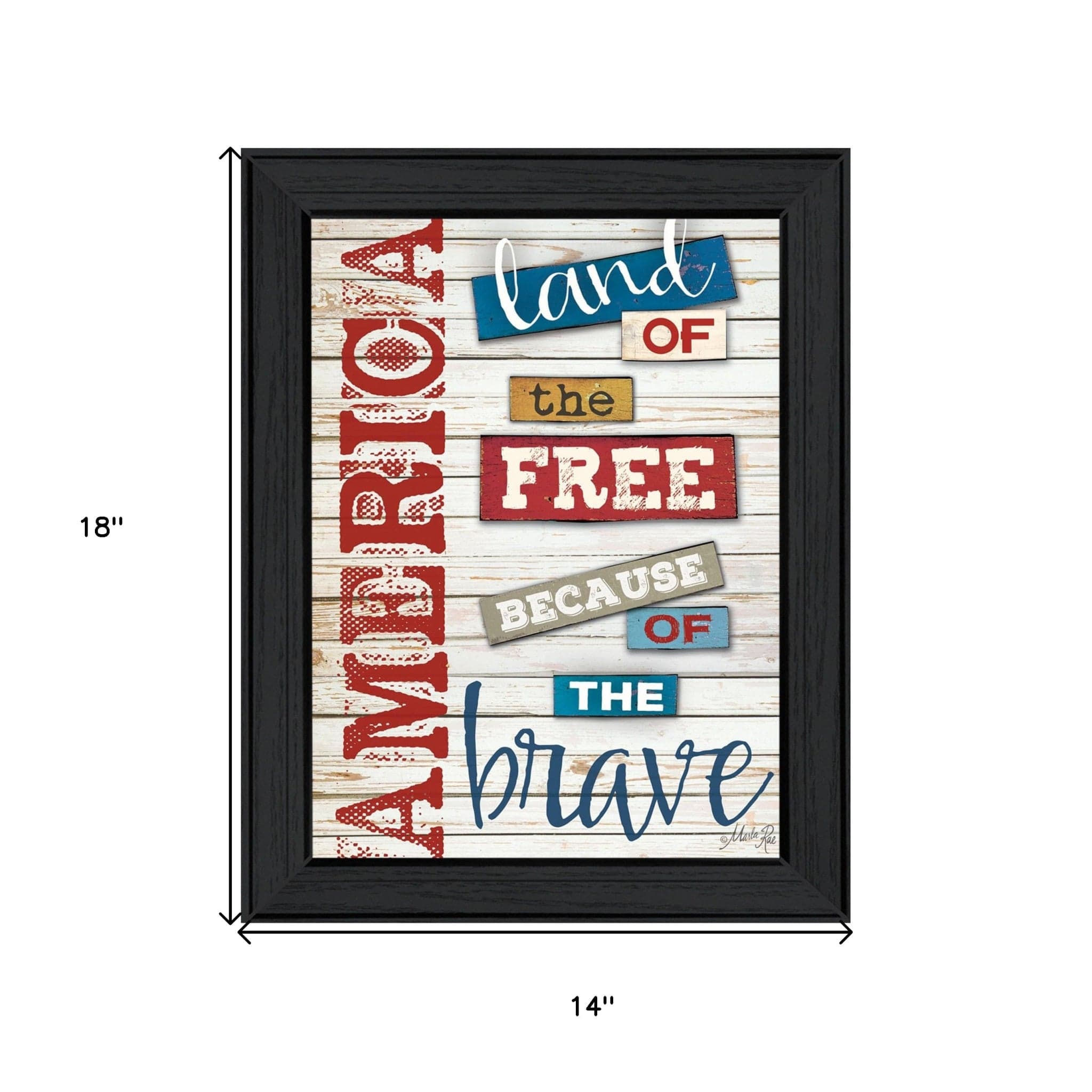 America Land of the Free Black Framed Print Wall Art - Homeroots