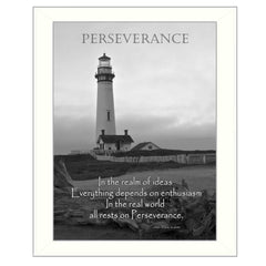 Perseverance 1 White Framed Print Wall Art - Homeroots