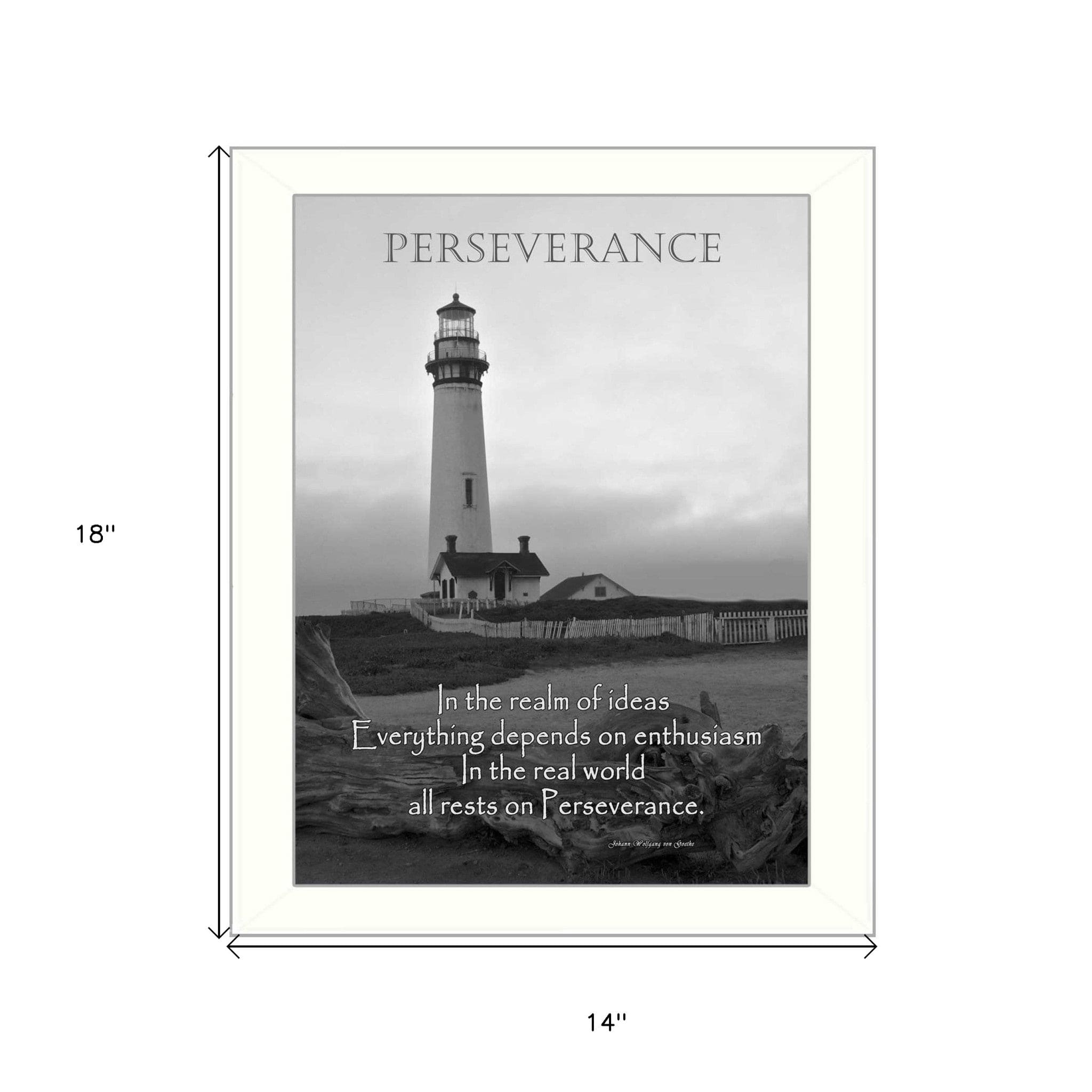 Perseverance 1 White Framed Print Wall Art - Homeroots
