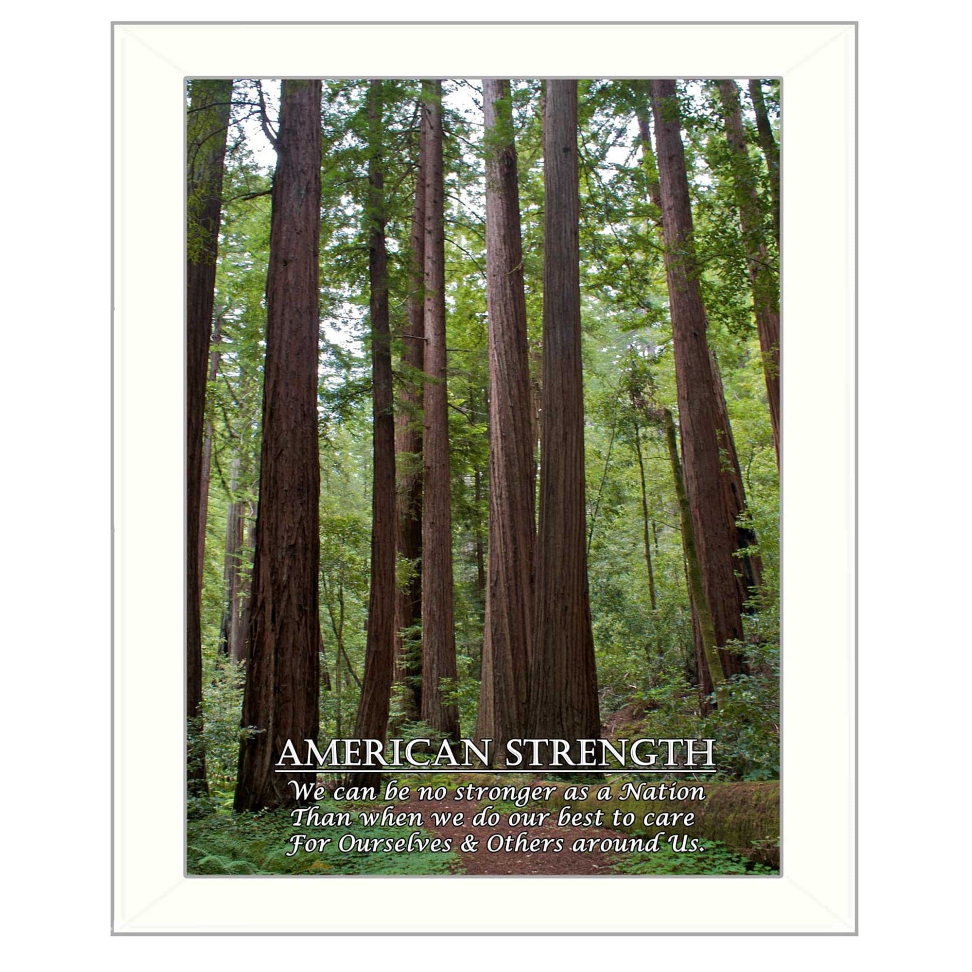 American Strength 4 White Framed Print Wall Art - Homeroots