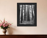 American Strength 5 Black Framed Print Wall Art - Homeroots - Flyclothing LLC