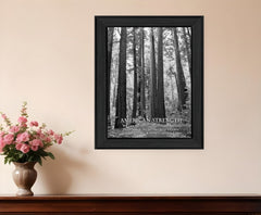 American Strength 5 Black Framed Print Wall Art - Homeroots