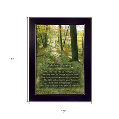 Irish Blessing 3 Black Framed Print Wall Art - Homeroots