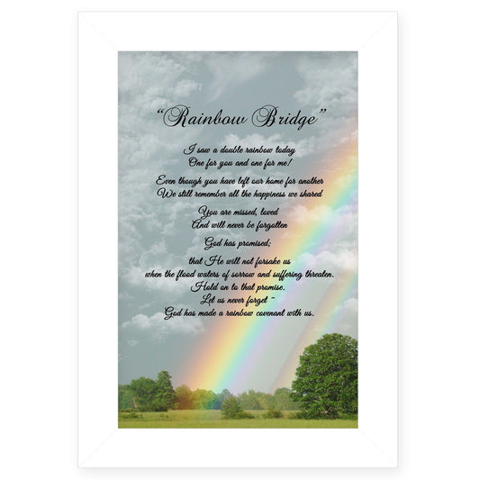 Rainbow Bridge 2 White Framed Print Wall Art - Homeroots