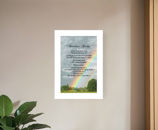Rainbow Bridge 2 White Framed Print Wall Art - Homeroots