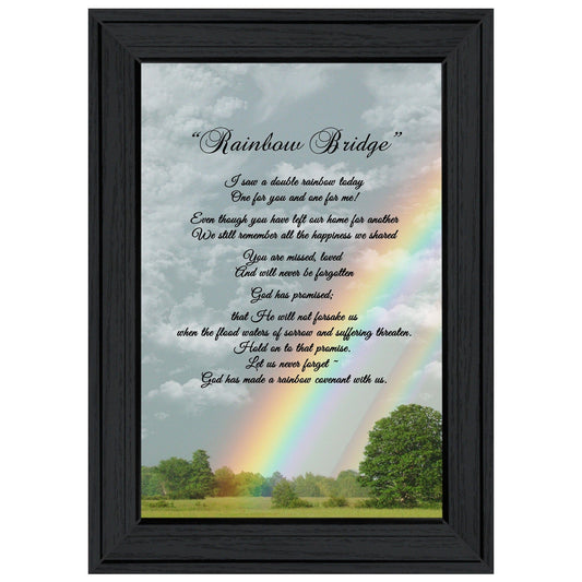 Rainbow Bridge 3 Black Framed Print Wall Art - Homeroots
