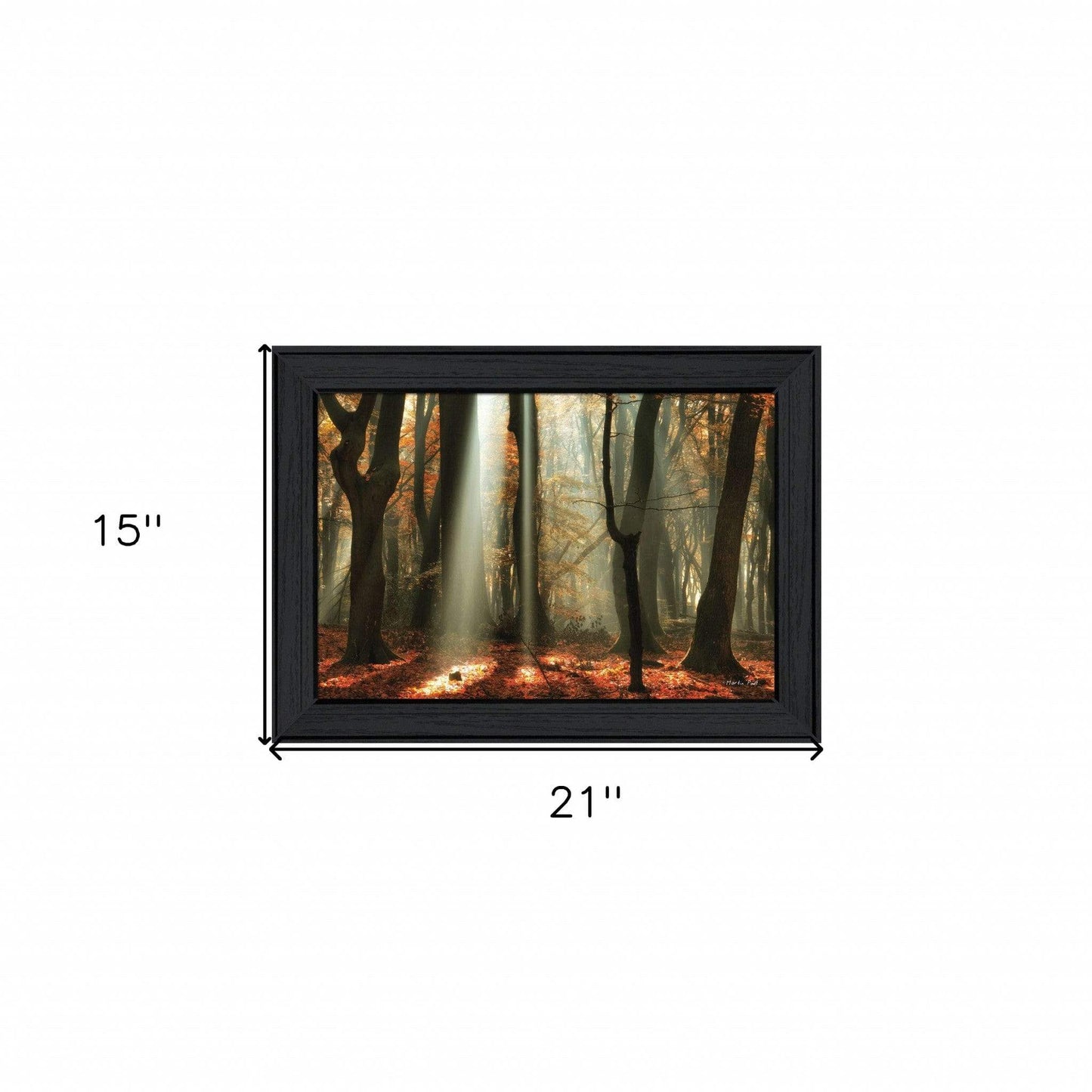 Beam Me Up Black Framed Print Wall Art - Homeroots - Flyclothing LLC