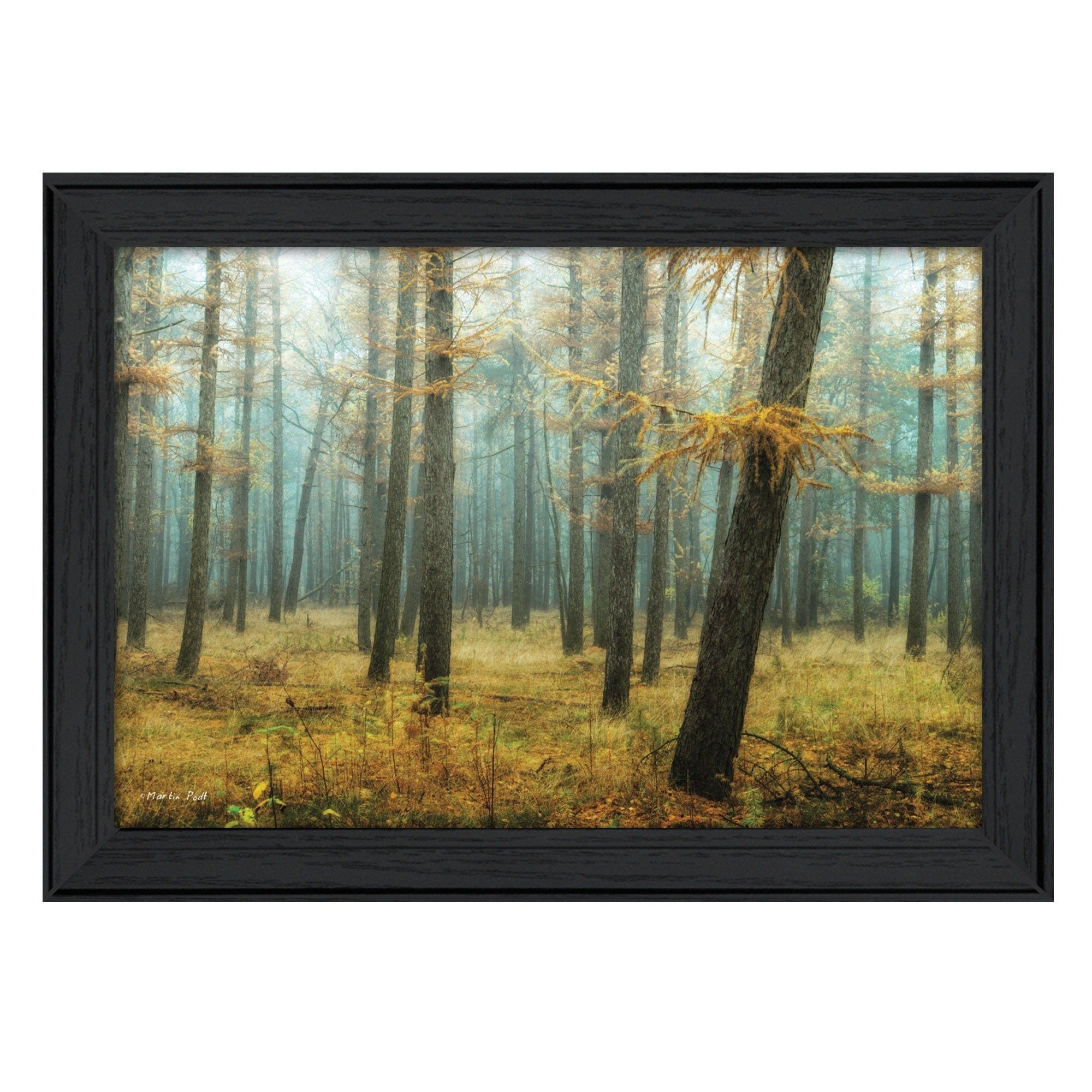 Holterberg in the Mist Black Framed Print Wall Art - Homeroots