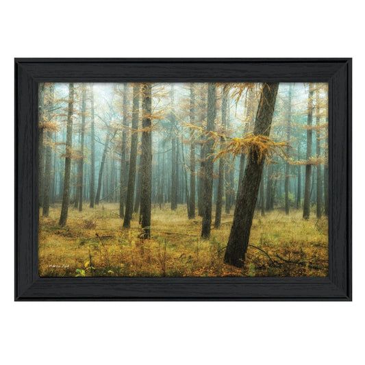 Holterberg in the Mist Black Framed Print Wall Art - Homeroots