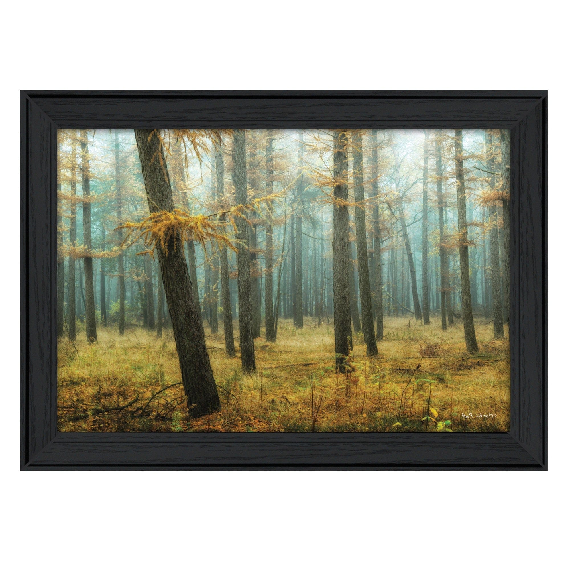 Holterberg in the Mist Black Framed Print Wall Art - Homeroots