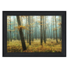 Holterberg in the Mist Black Framed Print Wall Art - Homeroots