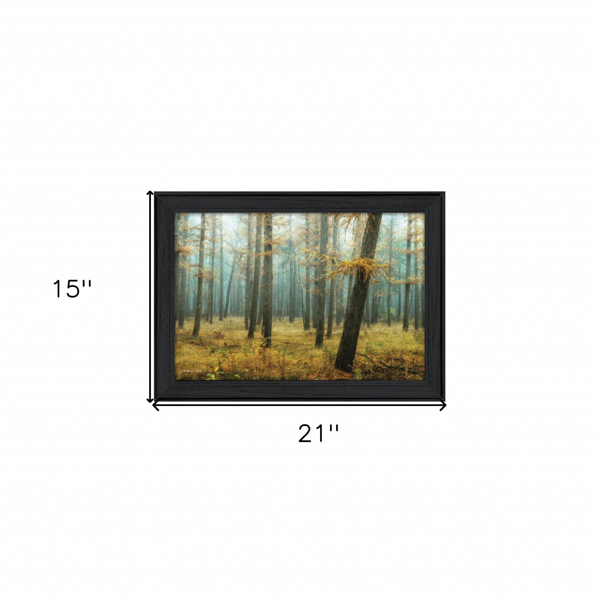 Holterberg in the Mist Black Framed Print Wall Art - Homeroots
