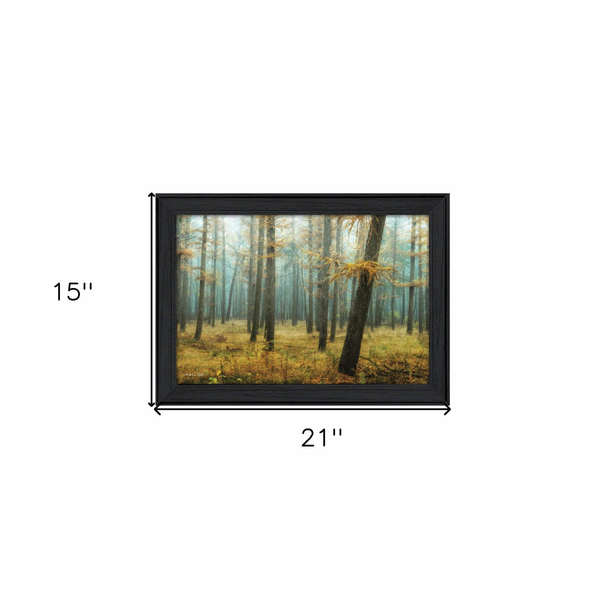Holterberg in the Mist Black Framed Print Wall Art - Homeroots - Flyclothing LLC