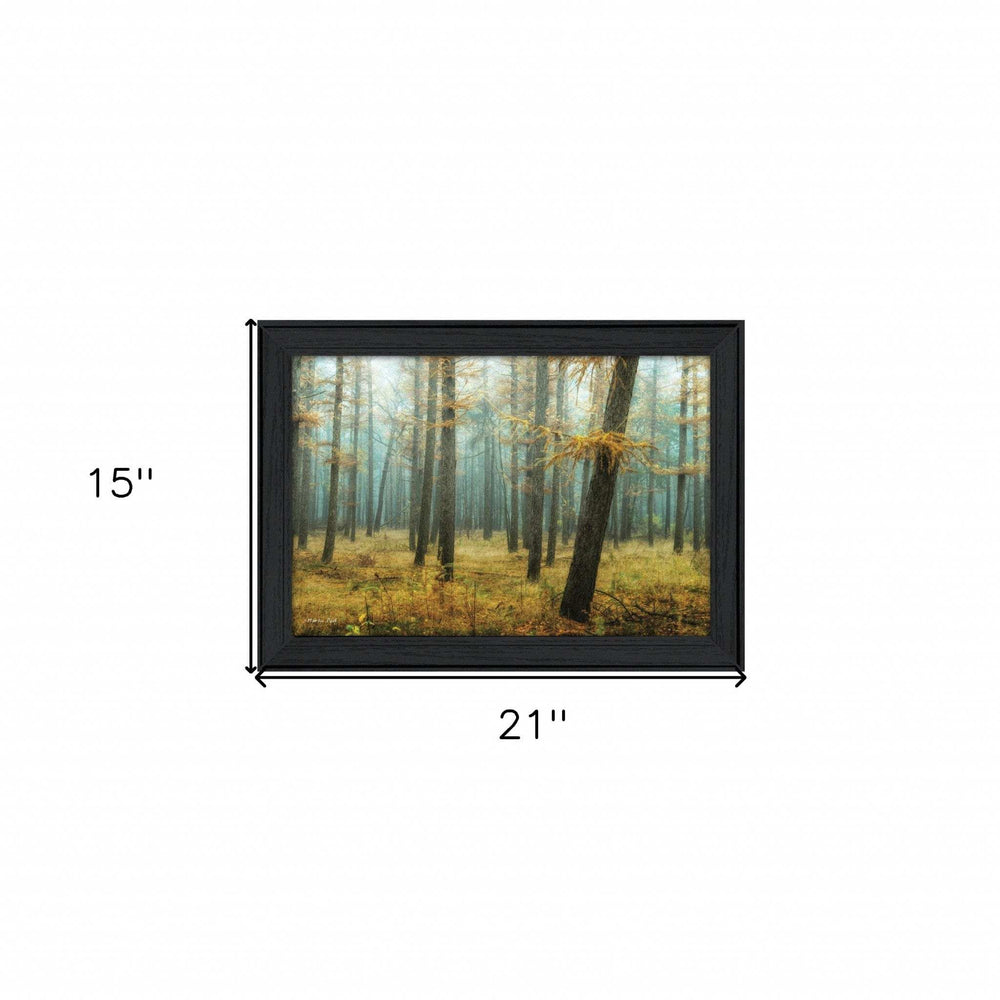 Holterberg in the Mist Black Framed Print Wall Art - Homeroots - Flyclothing LLC