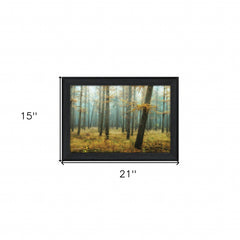 Holterberg in the Mist Black Framed Print Wall Art - Homeroots