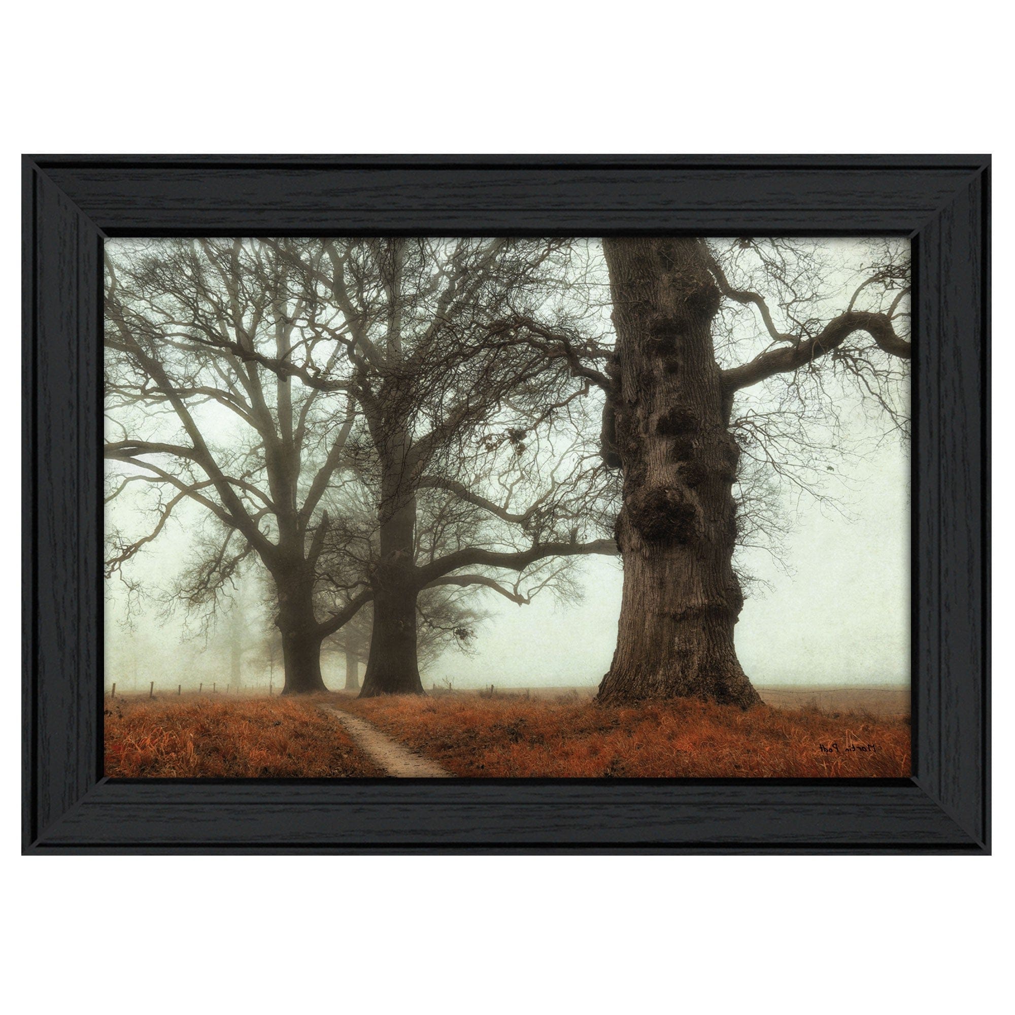 Misty Trees Black Framed Print Wall Art - Homeroots