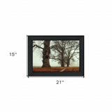 Misty Trees Black Framed Print Wall Art - Homeroots - Flyclothing LLC