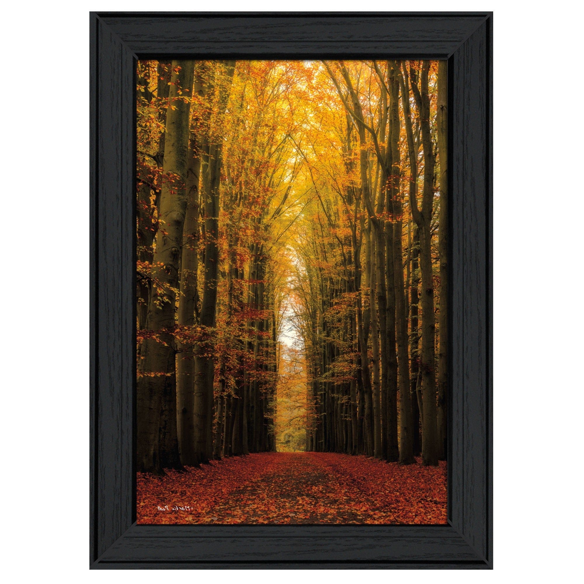 Highway to Heaven Black Framed Print Wall Art - Homeroots